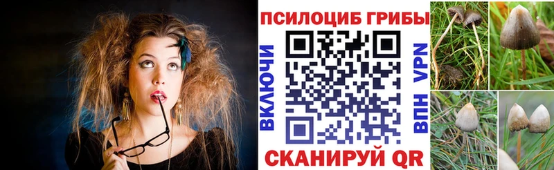 Псилоцибиновые грибы мухоморы Судогда