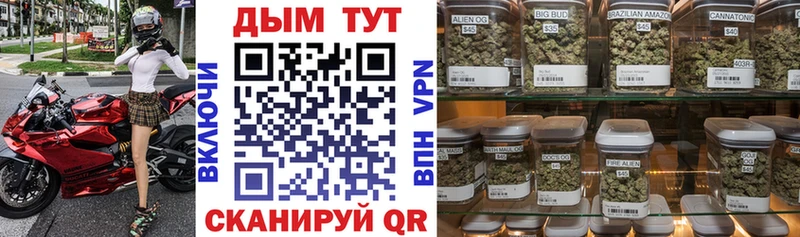 Бошки Шишки Bruce Banner  магазин продажи   Судогда 